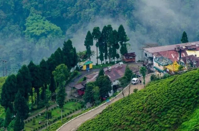 Excellent View of Happy Valley Tea Estate