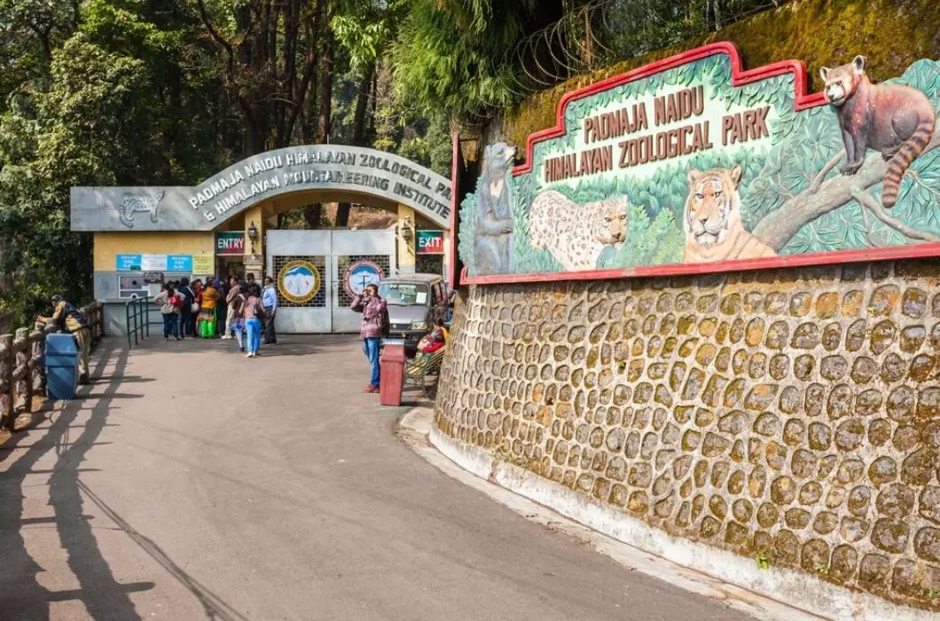 In front of Padmaja Naidu Himalayan Zoological Park