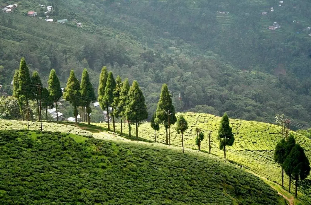 Darjeeling