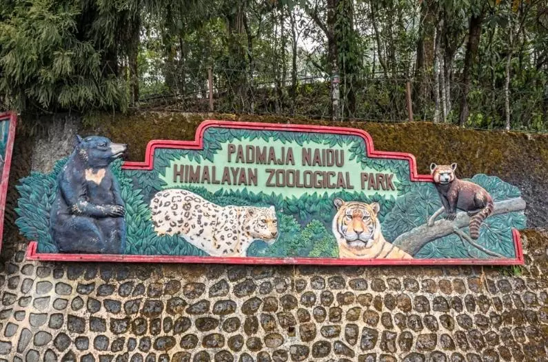 Picture of Padmaja Naidu Himalayan Zoological Park
