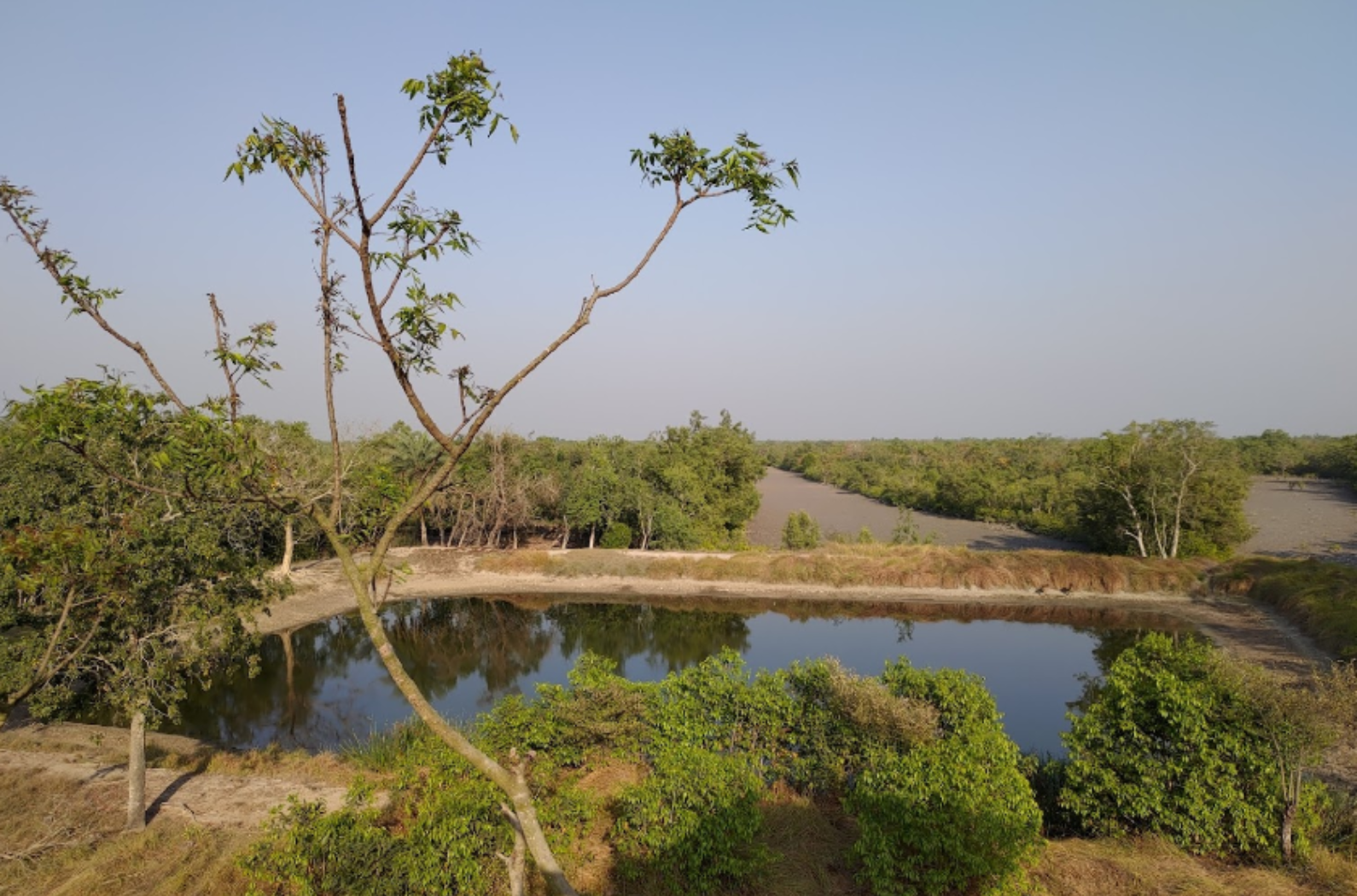 Sudhanyakhali Watch Tower