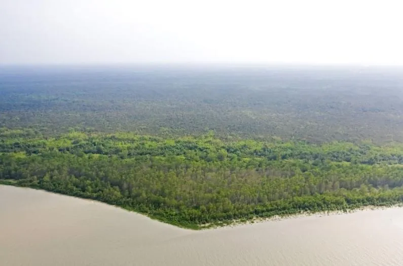 The confluence of rivers and forests in Sundarban Tiger View Point