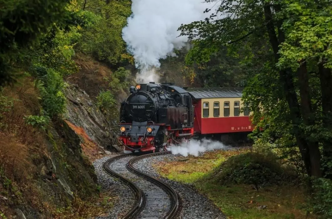 Train moving in Darjeeling Himalayan railway
