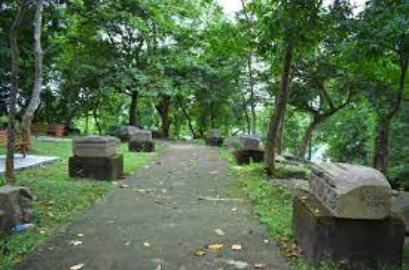 Beautiful inside view of Bamuni hills.