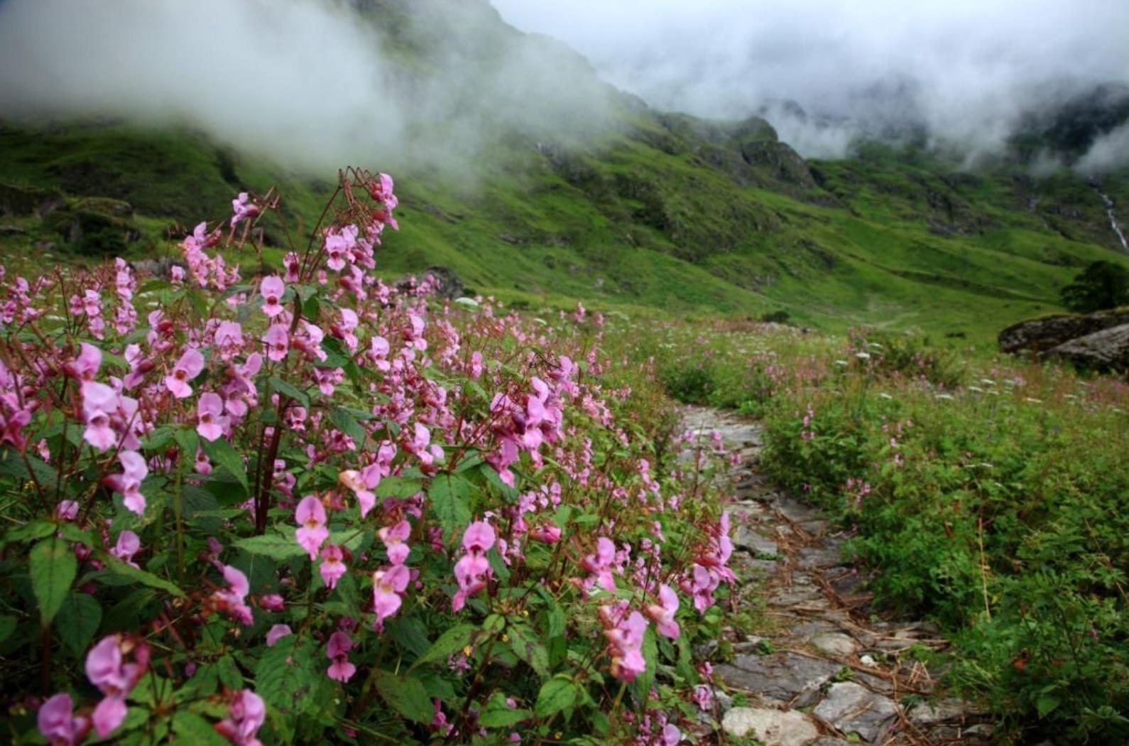 Beautiful mountains in the Valley of Flowers. Valley of flowers is a tourist attraction in the Himalayas.