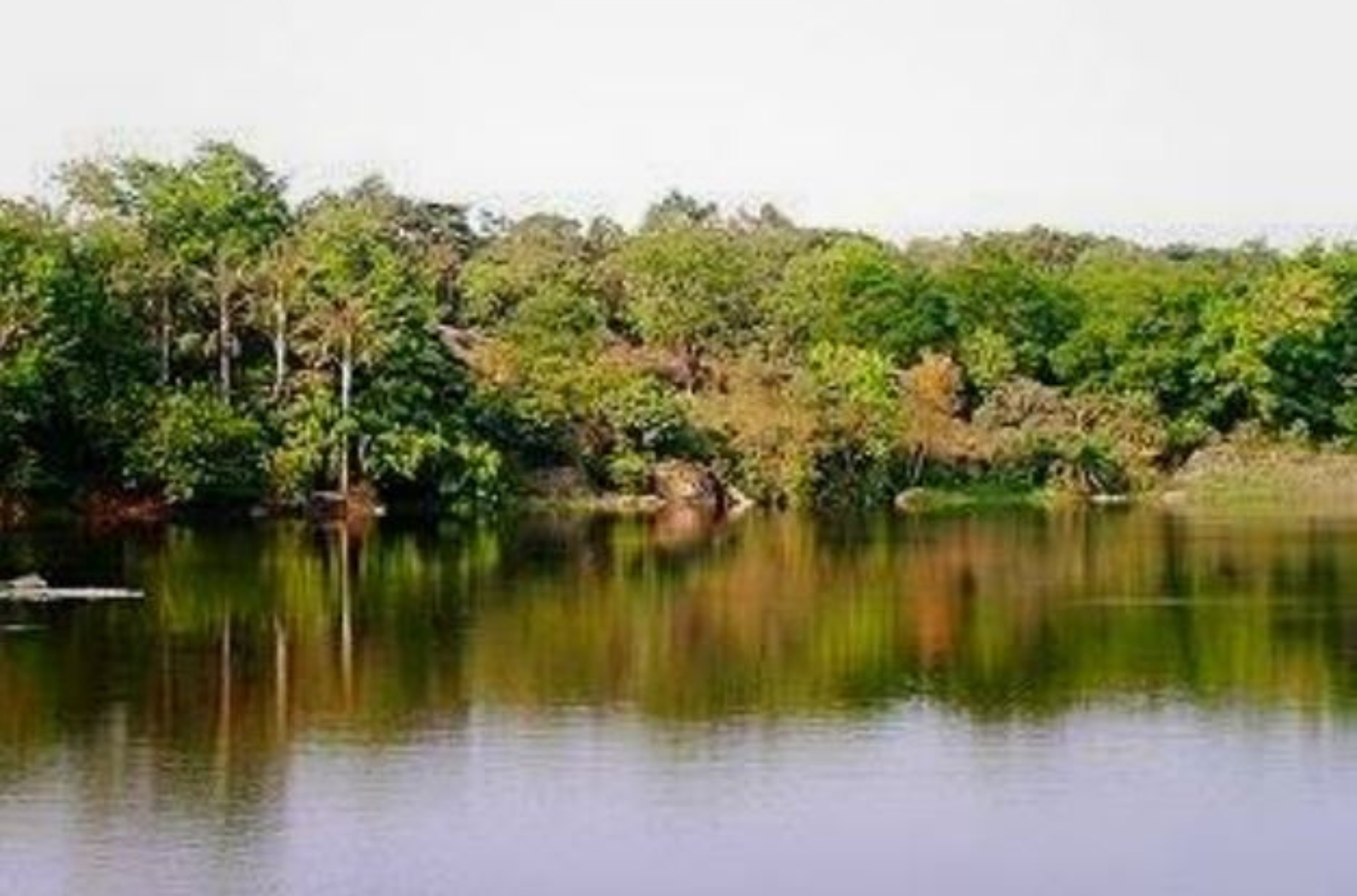 Hudco Lake - A Lake with view of Nature - Indiano Travel