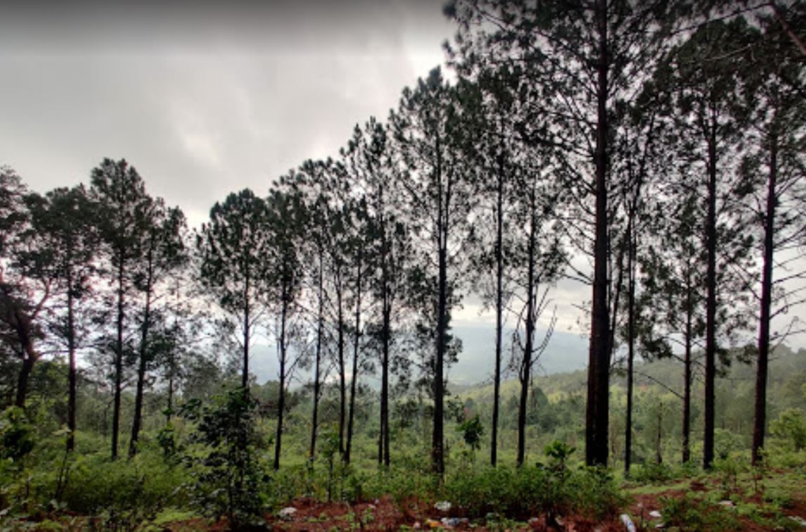 Koel View Point in Jharkhand