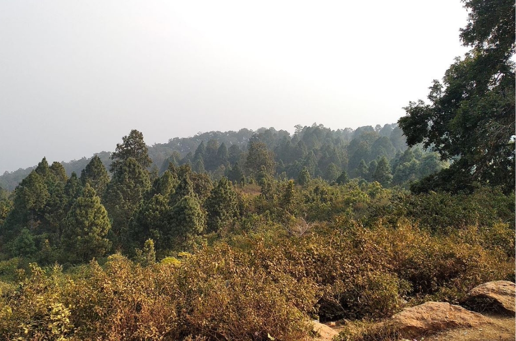 Koel View Point in Jharkhand