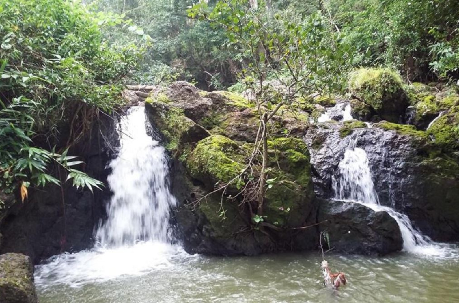 Lower Ghaghri Falls in Jharkhand