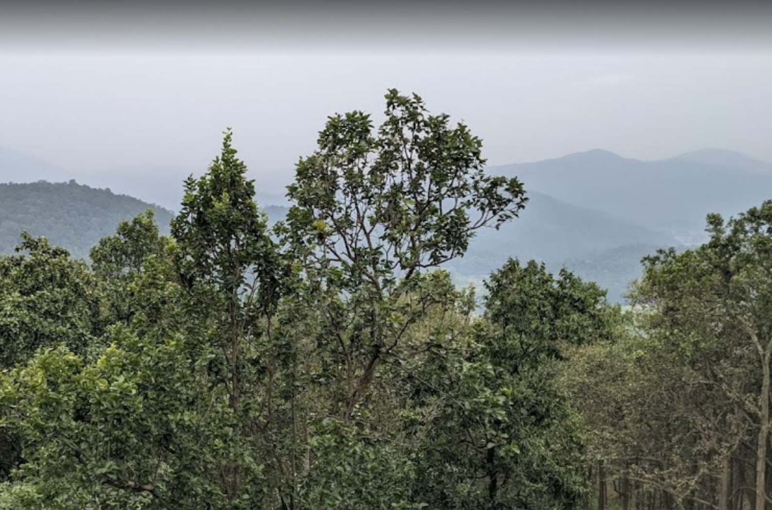 Magnolia sunset Point in Jharkhand