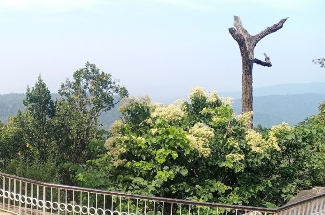 Magnolia sunset Point in Jharkhand