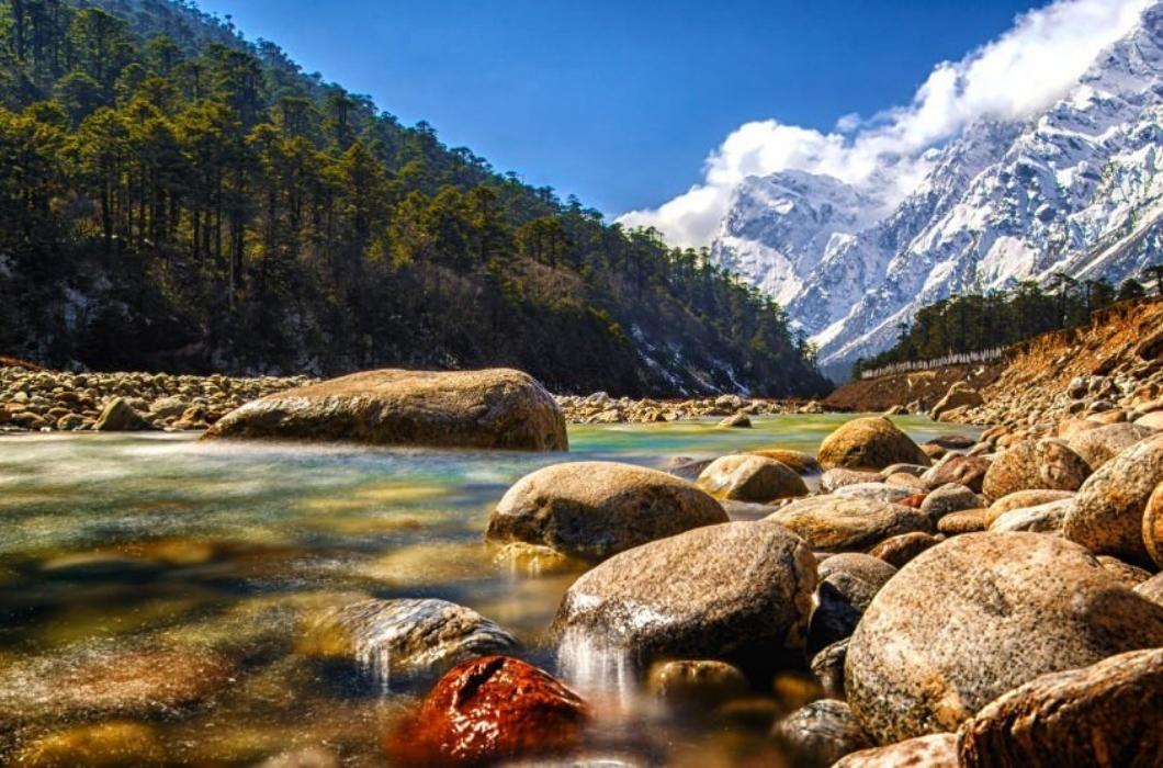 The Yumthang Valley or Sikkim Valley of Flowers sanctuary, is a nature sanctuary with river, hot springs