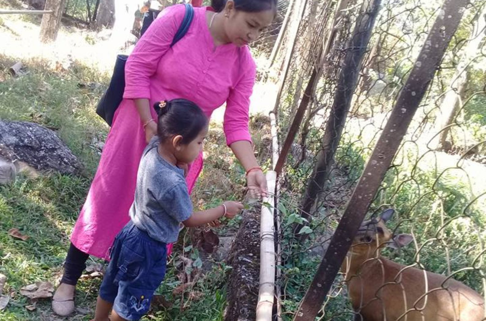 People Spending time in Roing Zoo 