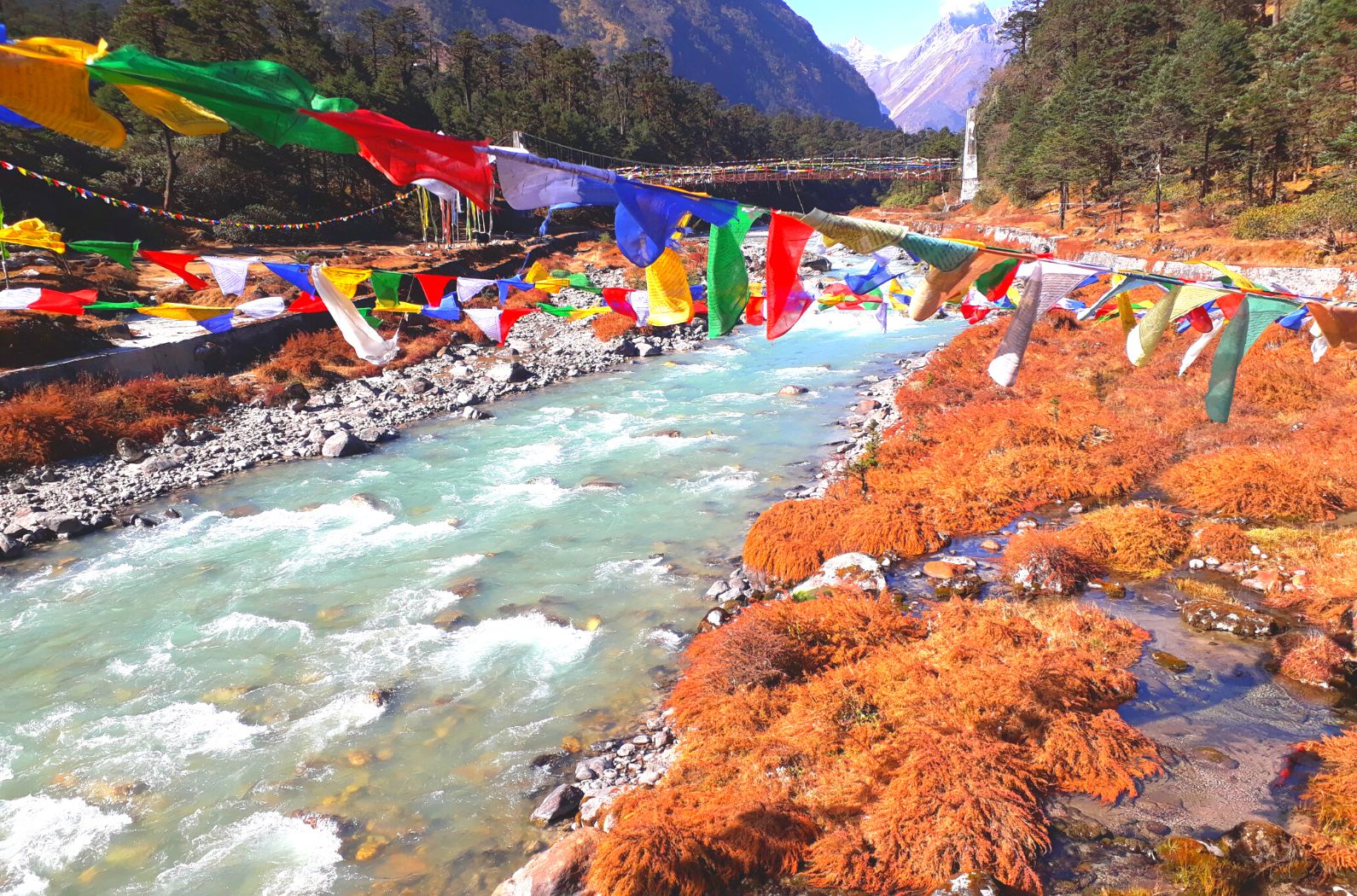 Yumthang hot springs