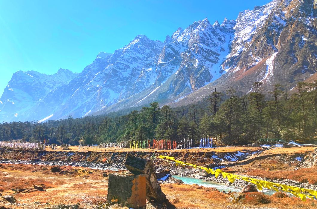 Yumthang hot springs