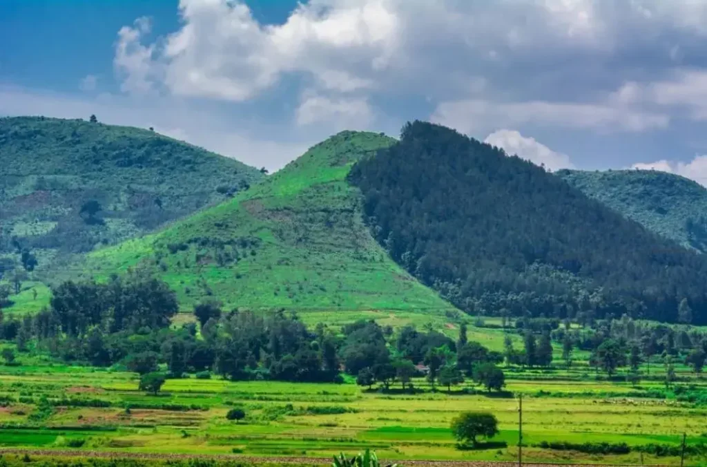 Araku Valley is a great place to visit.