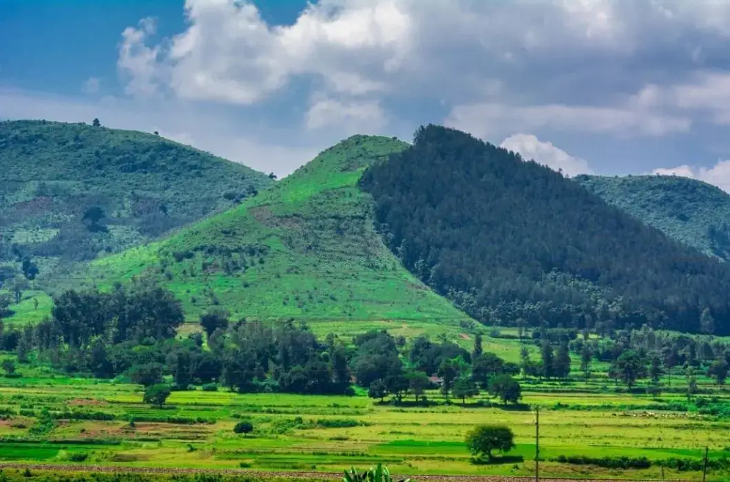 Araku Valley - Is a hill station and valley region | Indiano Travel