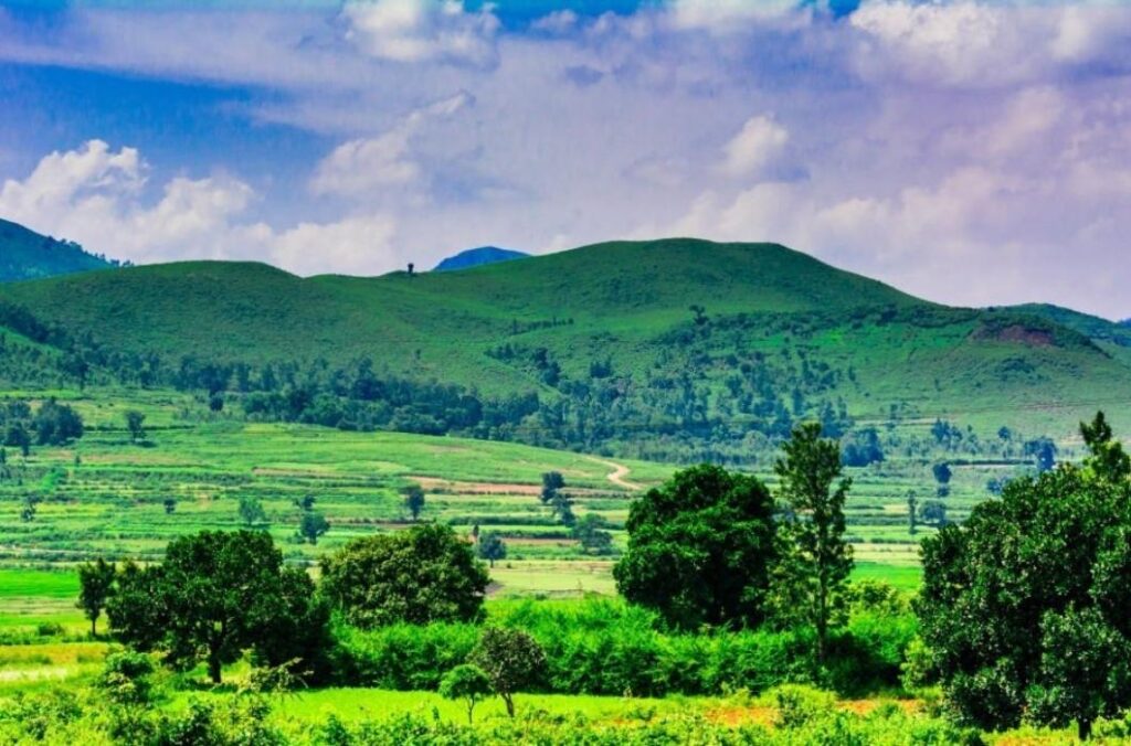 Araku Valley Coffee Museum - Plus shops for coffee (2022)