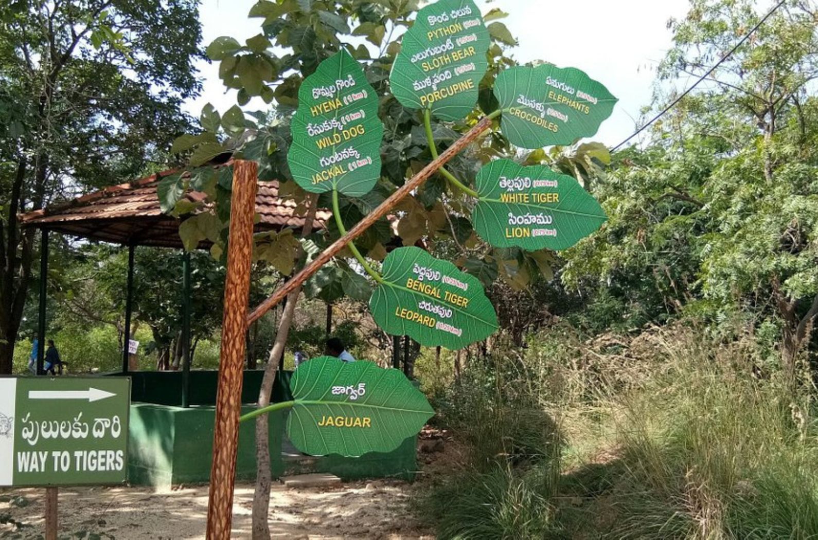 Sri Venkateswara National Park picture