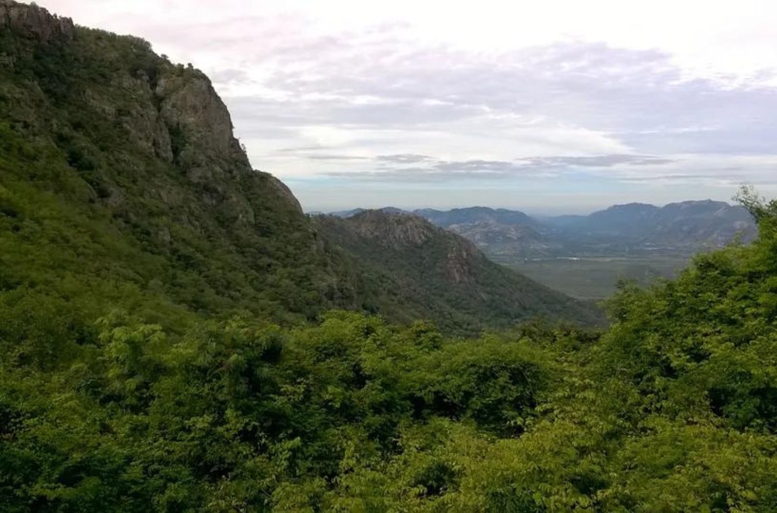 Sri Venkateswara National Park - Place of animals | Indiano Travel