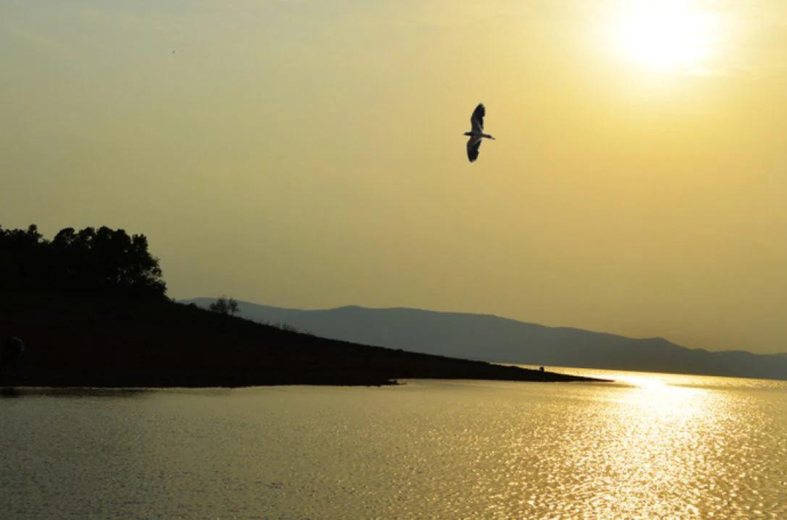 Hirakud dam