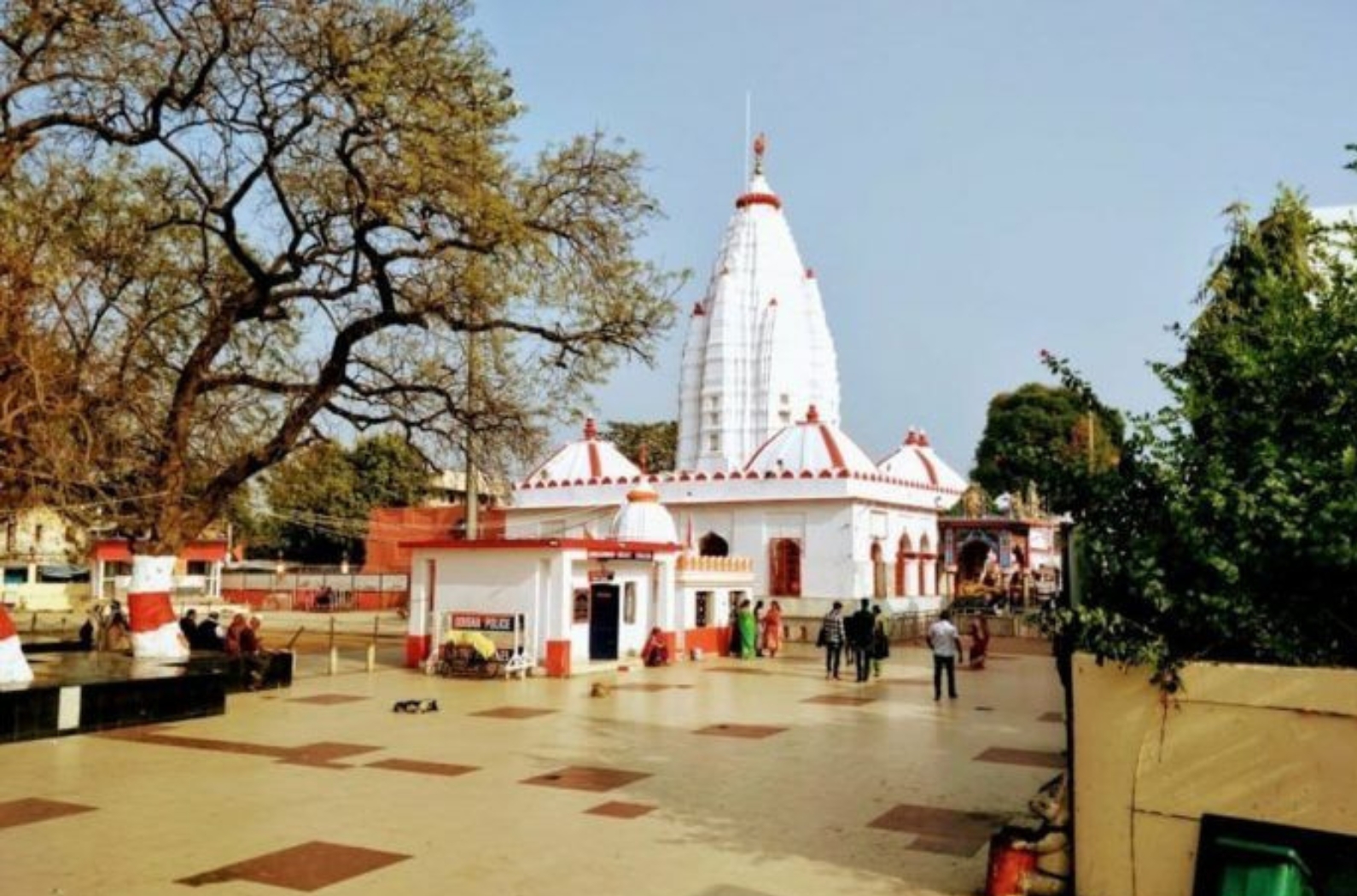 Maa Samaleswari Temple