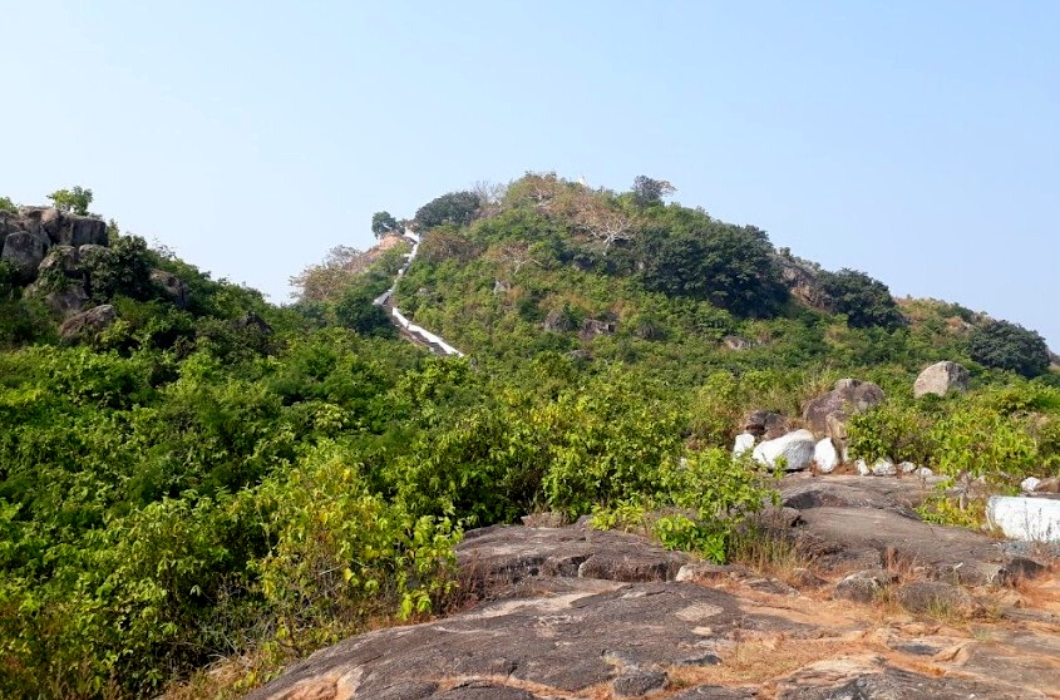 visit the Brahmayoni Hill