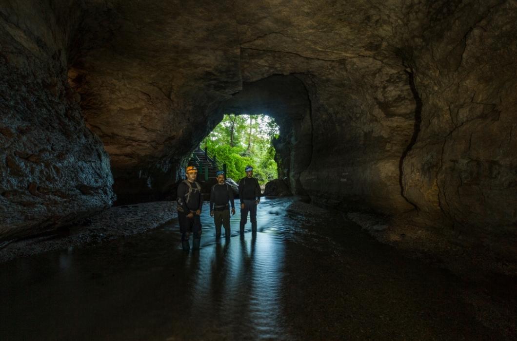 Heres How You Can Explore the Majestic Siju Cave of Meghalaya in One Night  - Tripoto