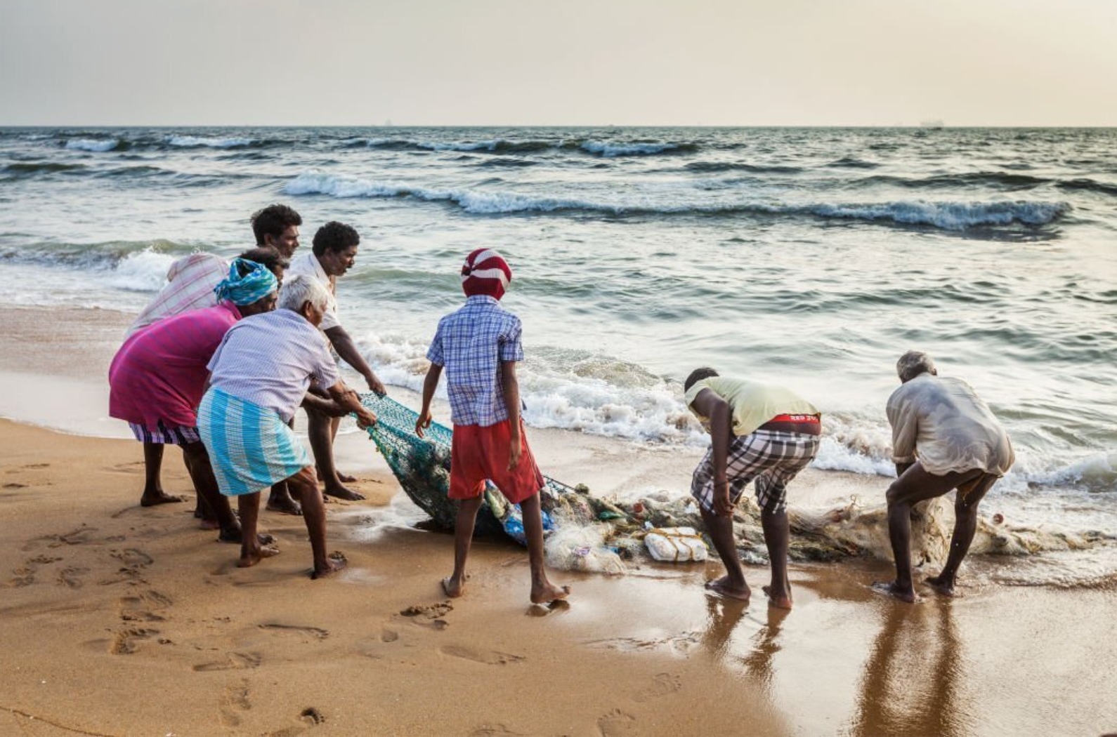 Indian fishermen dragging fishing net with their catch from sea on Marina Beach in Chennai.