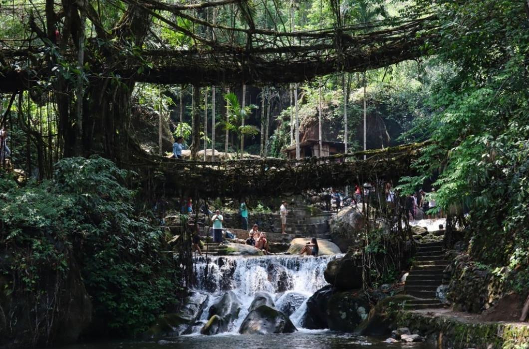Tourists visited at the double decker living root bridge. The living root bridges, created by the members of the Khasi tribe who have grown them from rubber trees, are native to the region.