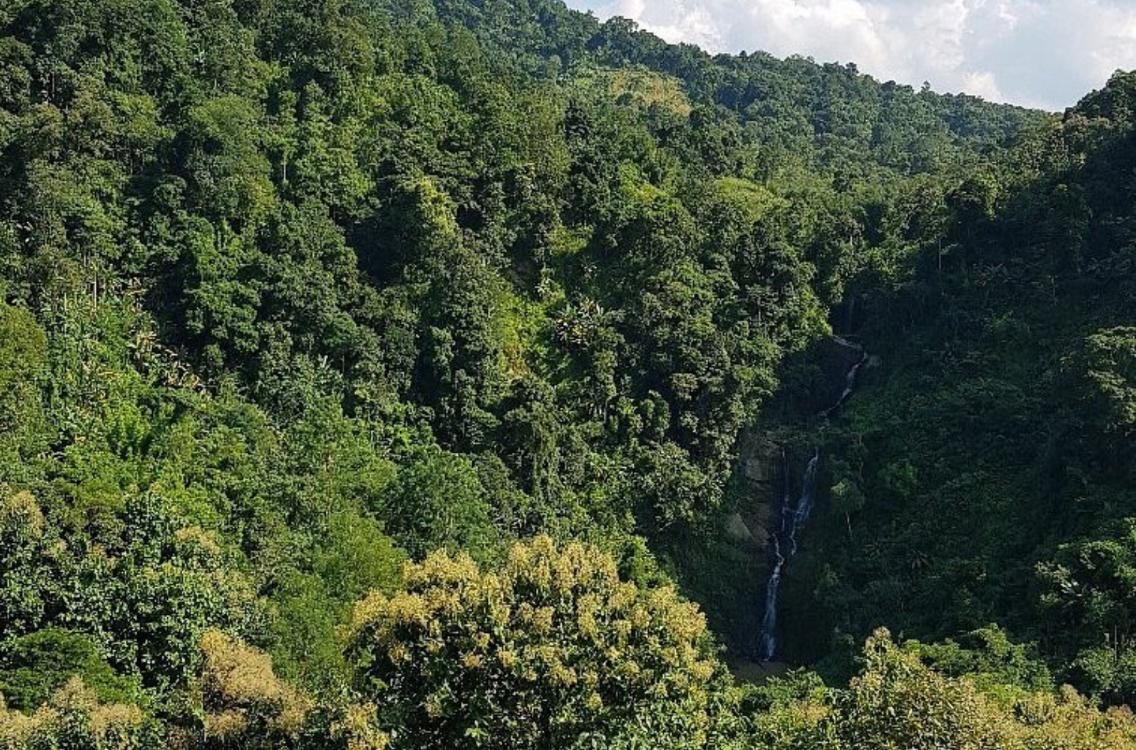 Place view of Triple falls