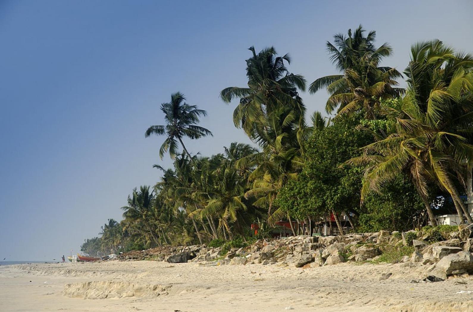 A palm-fringe beach in Alleppey.