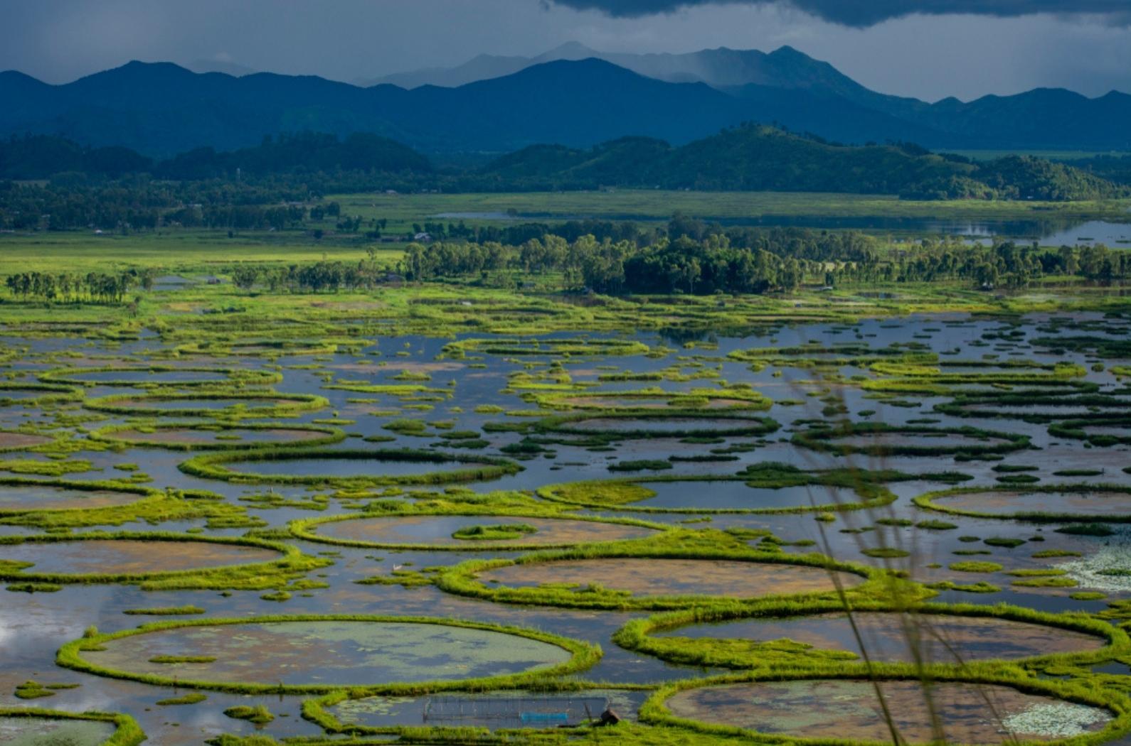 Floating National park in India , Keibul Lamjao Netional park at loktak Lake, Manipur and its surrounding areas like floating homestay and Karang Island.