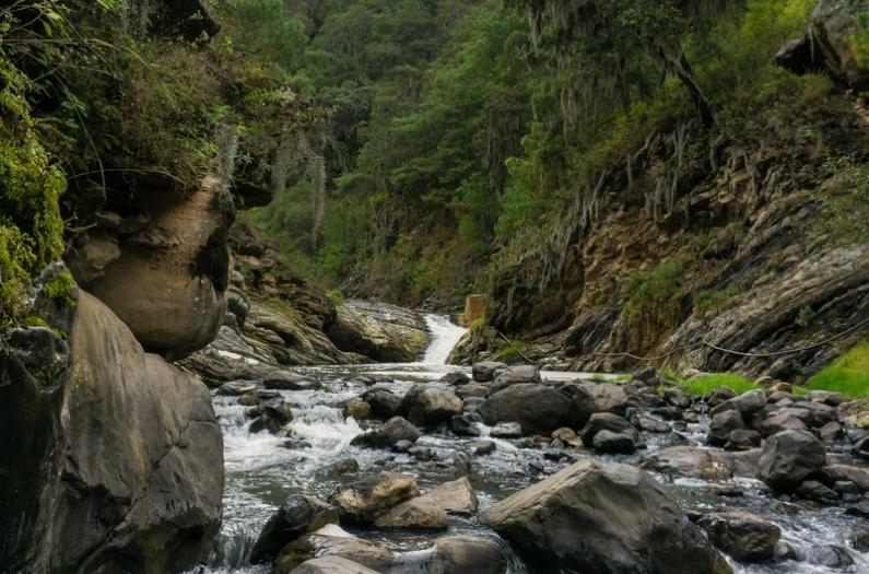 Flowing Chitradhara waterfall.