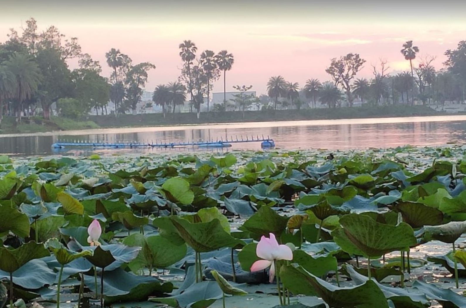 Hazaribagh Jheel in Jharkhand