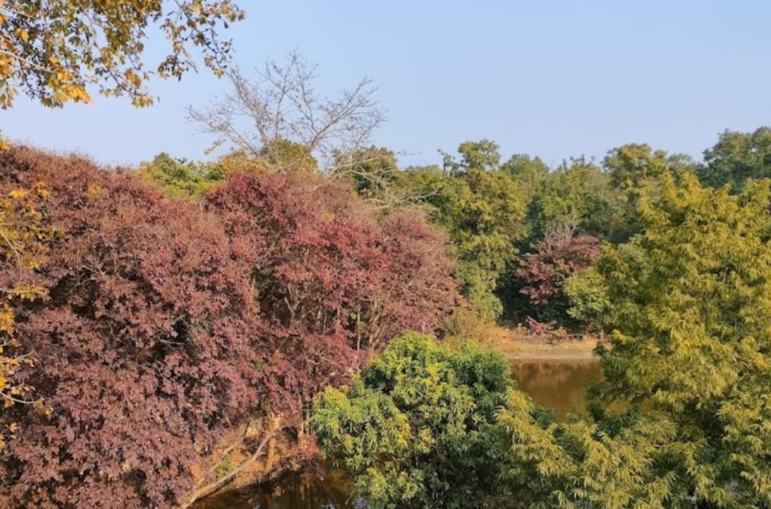 Hazaribagh Wildlife Sanctuary in Jharkhand