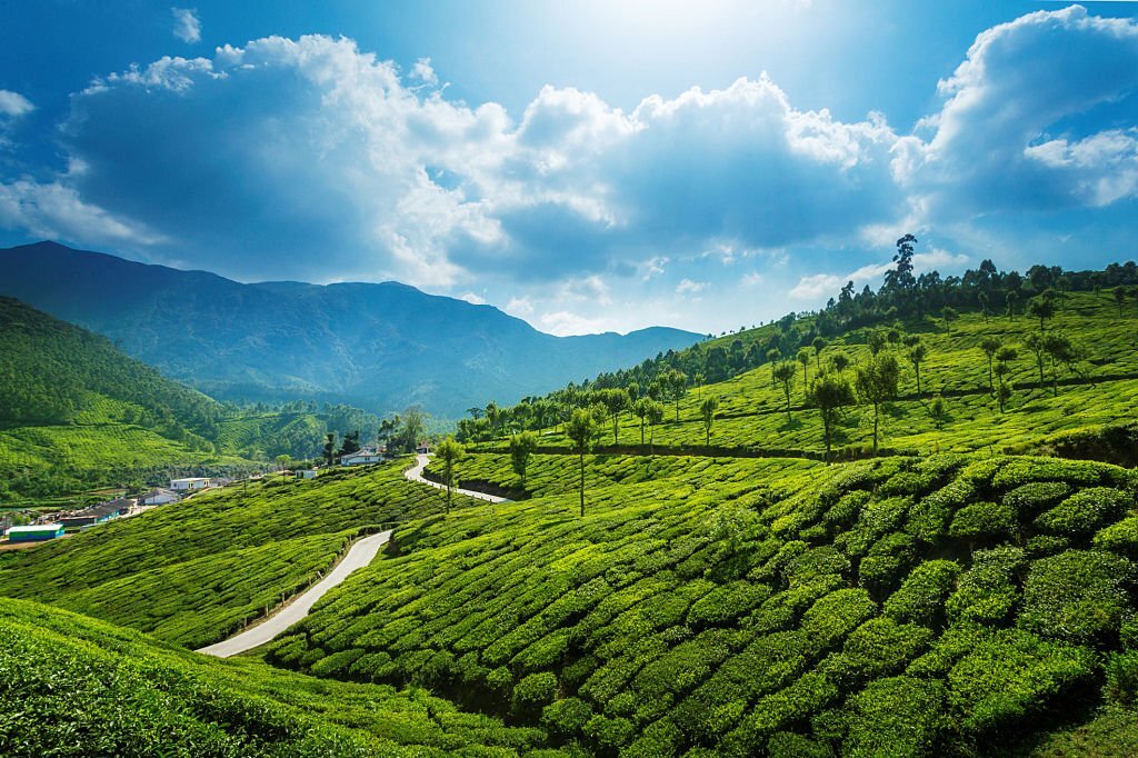 Munnar - Romantic Places In india