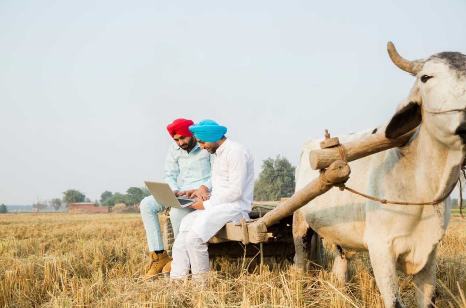 Tradition of Punjab