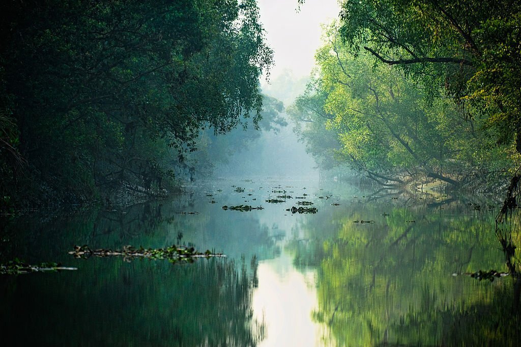 Sundarbans - ecotourism destinations in India