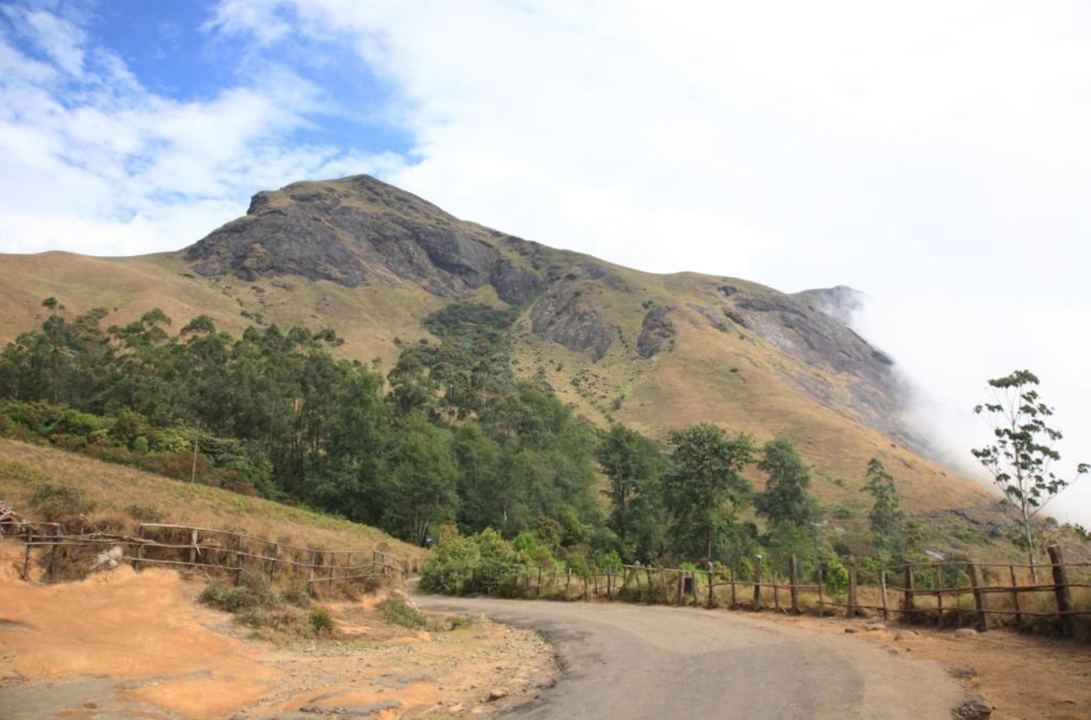 View of Anamudi Peak at Eravikulam national park