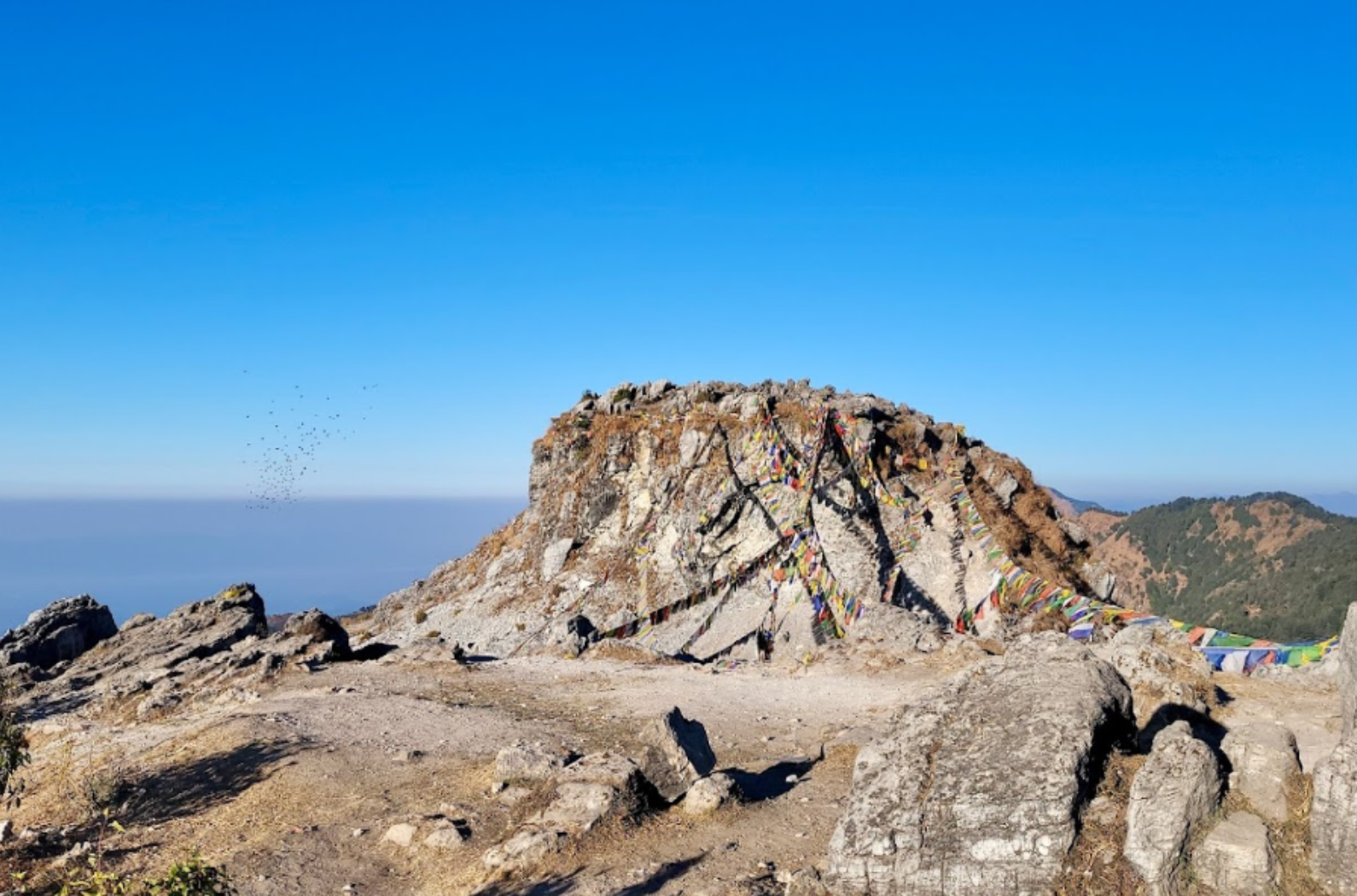 George Everest's House