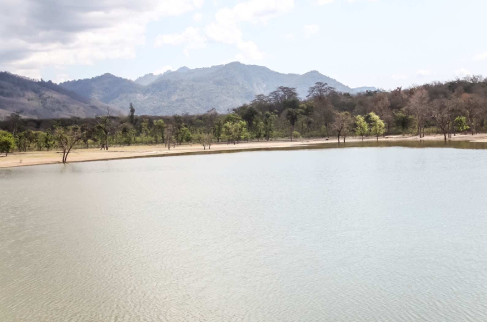 Outside Beautiful View Of Rajaji National Park.