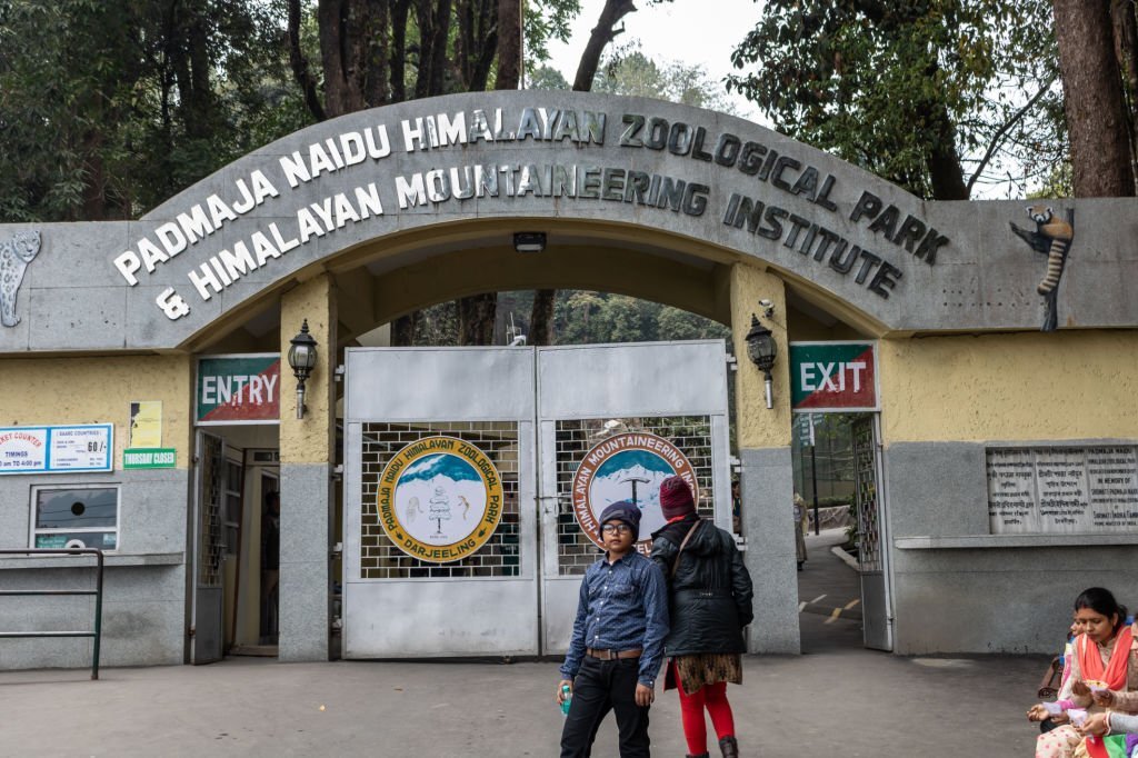 Padmaja Naidu Himalayan Zoological Park - best 5 travel places in Darjeeling