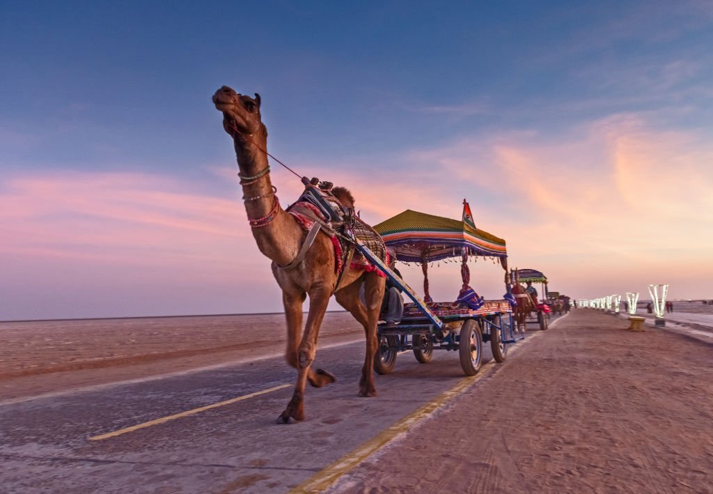 Rann of Kutch