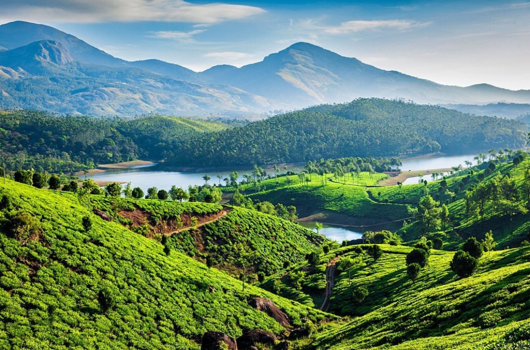 Tea plantations and Muthirappuzhayar River in hills near Munnar, Kerala, India.