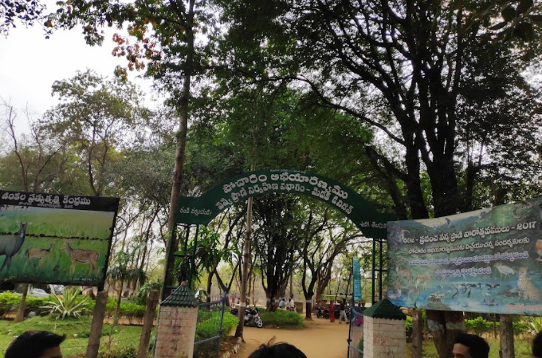 Pocharam Wildlife Sanctuary - Nice place to spend time.