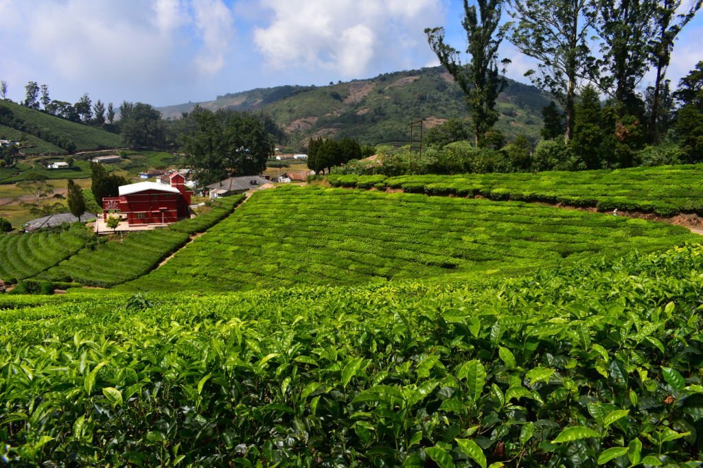 Meghamalai