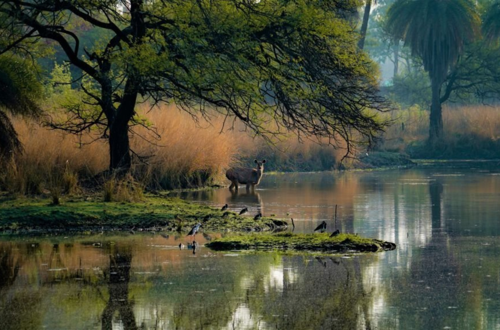 Place View Of Van Vihar National Park