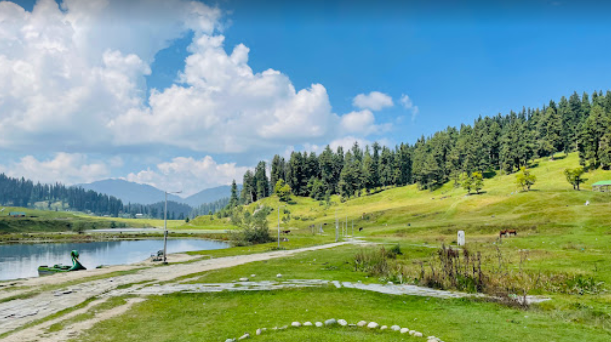 Natural view of children park