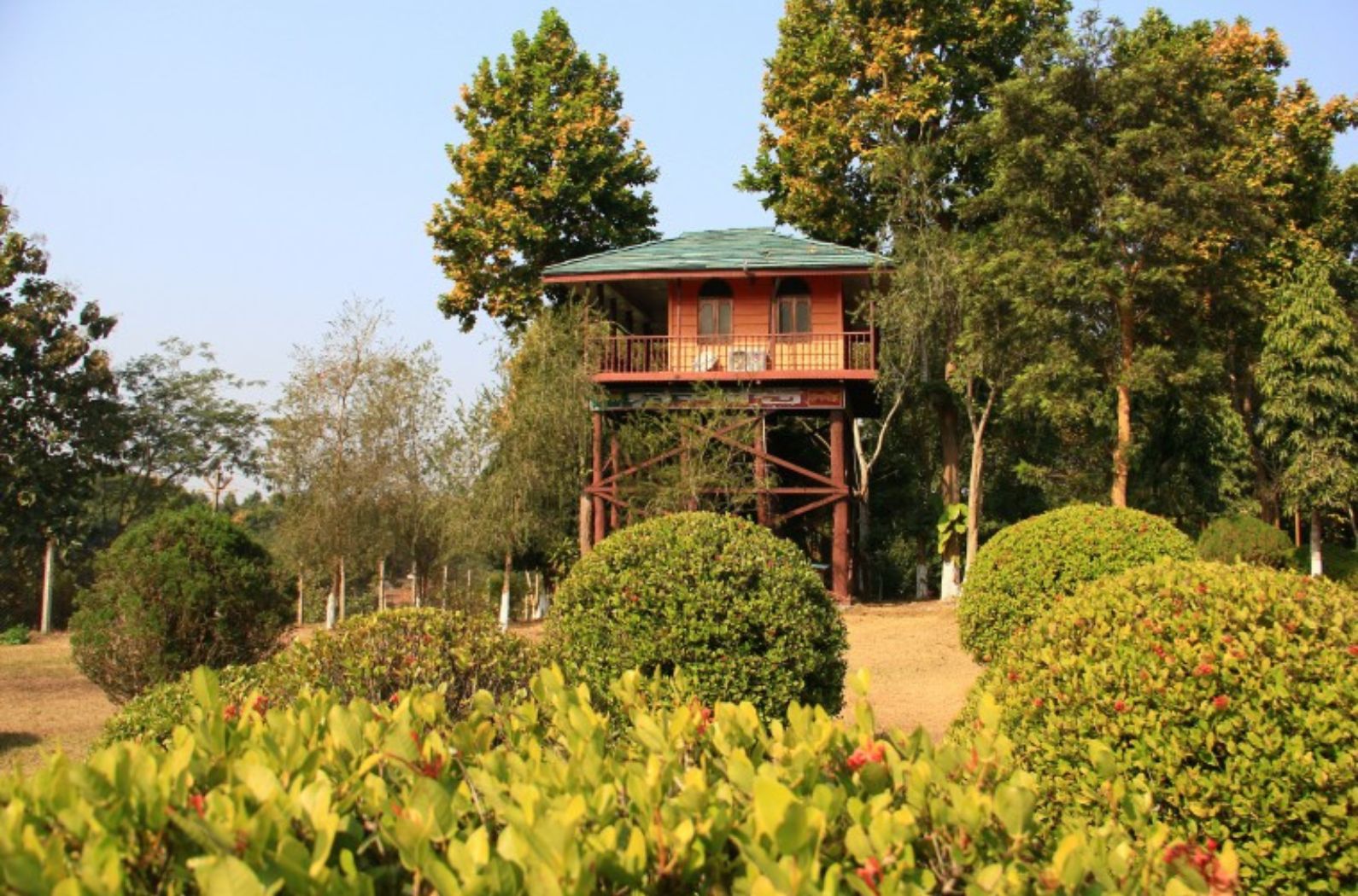tree House in Tepania Park 